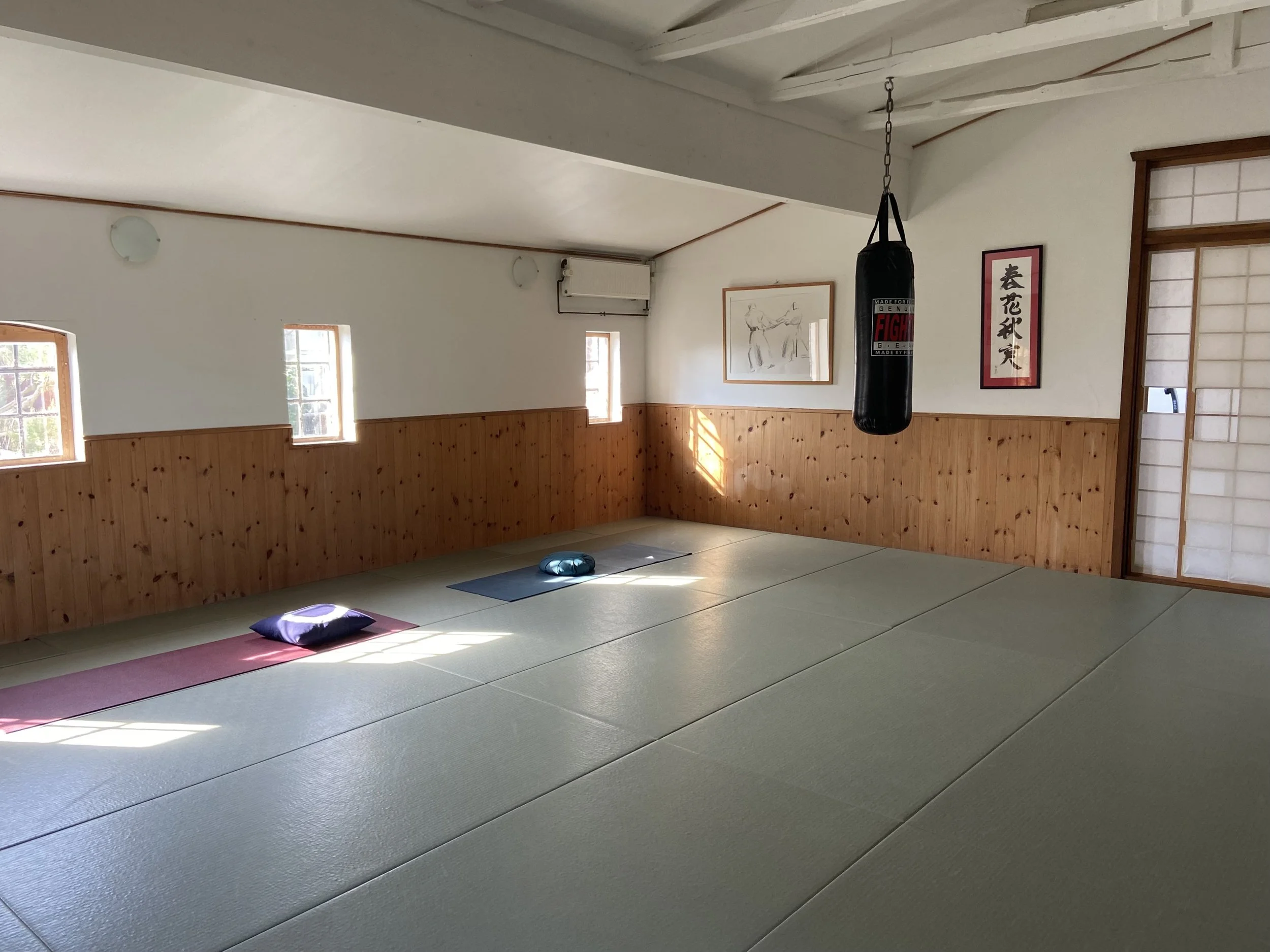 Yoga i dojoen 1: Rod- og sakral: fundament og flow