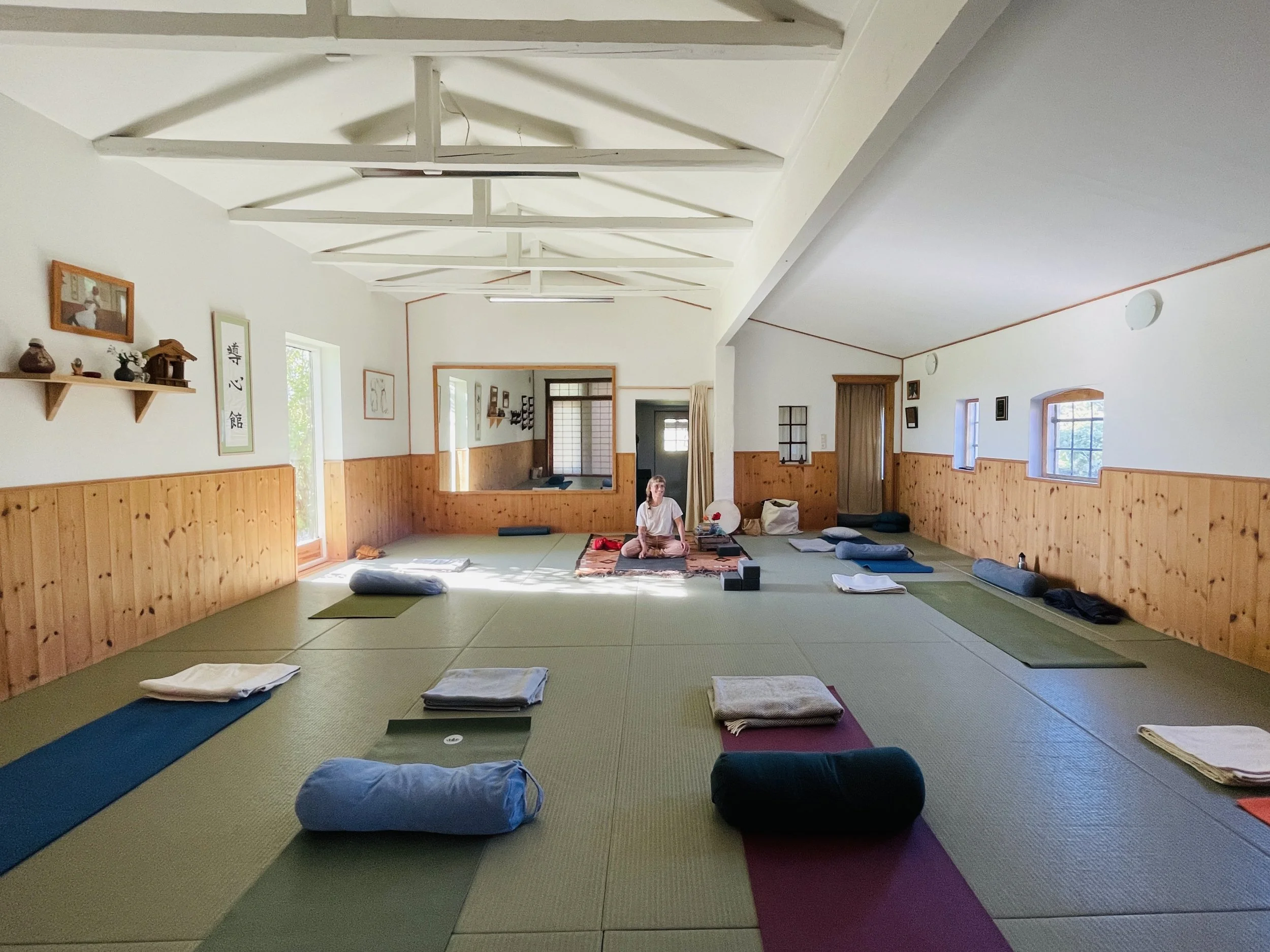 Yoga i Dojo 4: Tredje øje og krone: Visualisering og ånd