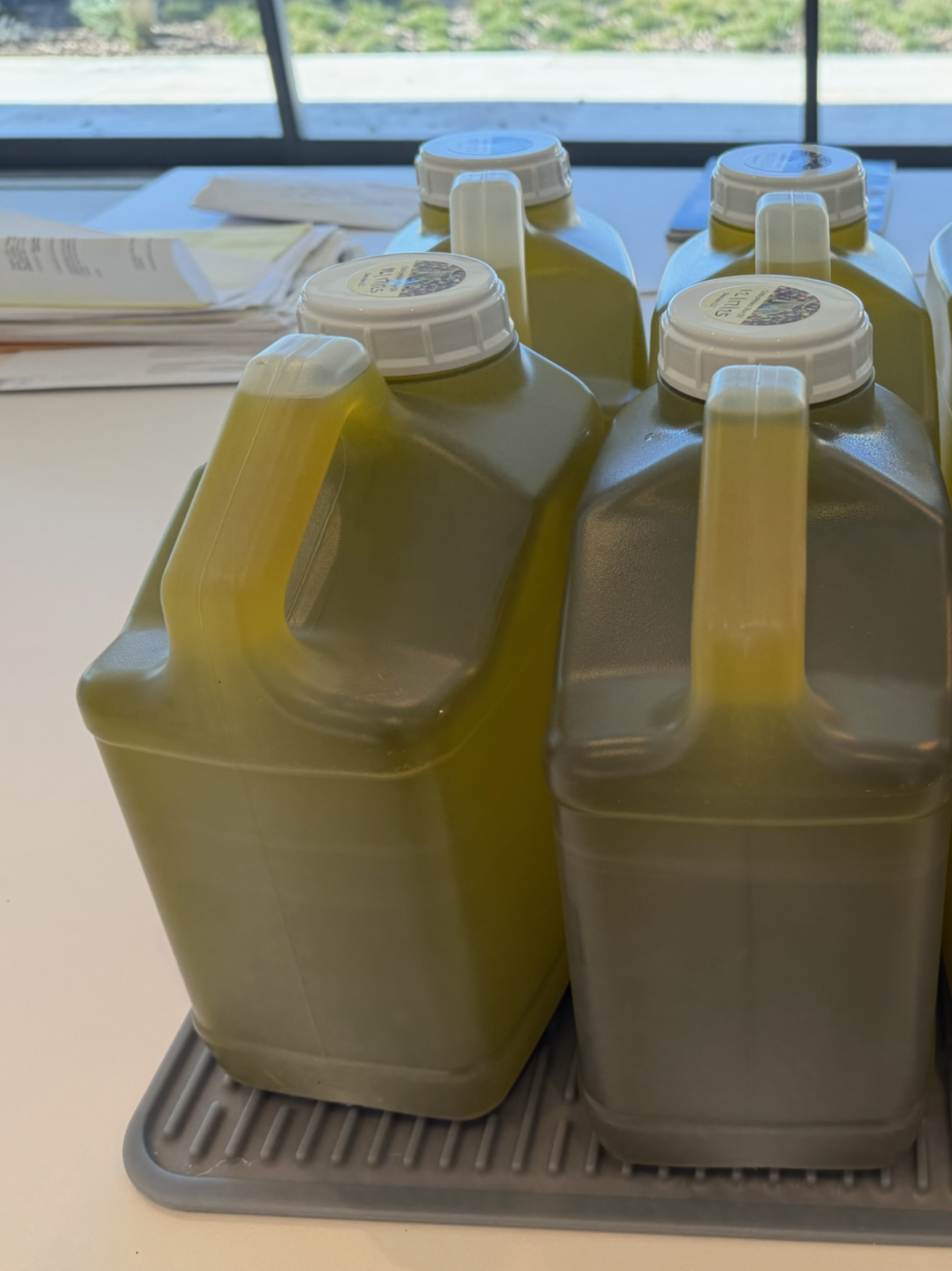 Screenshot 2026-03-08 at 9.10.29 AM.png