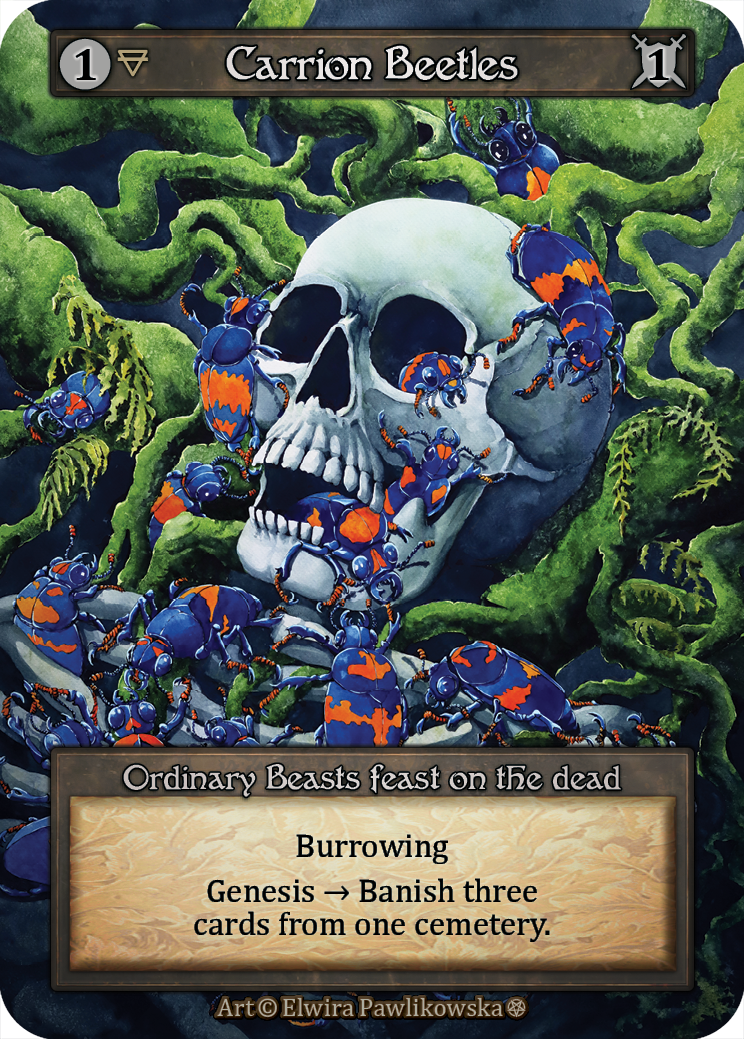 Elwira Pawlikowska - Carrion Beetles.png