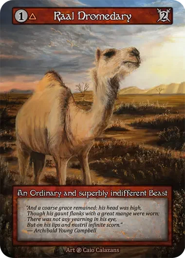002-raal_dromedary-b-s.webp
