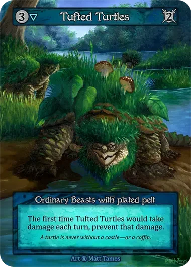 002-tufted_turtles-b-s.webp