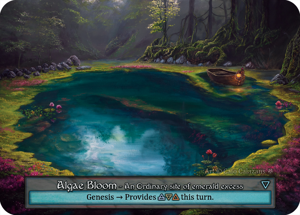 Algae Bloom