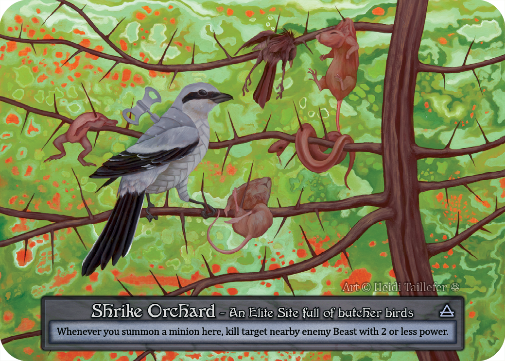 Shrike Orchard