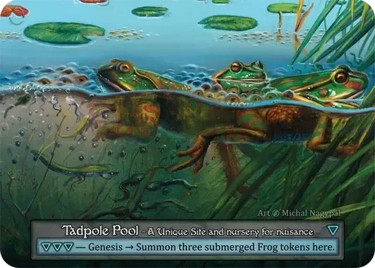 002-tadpole_pool-b-s.webp