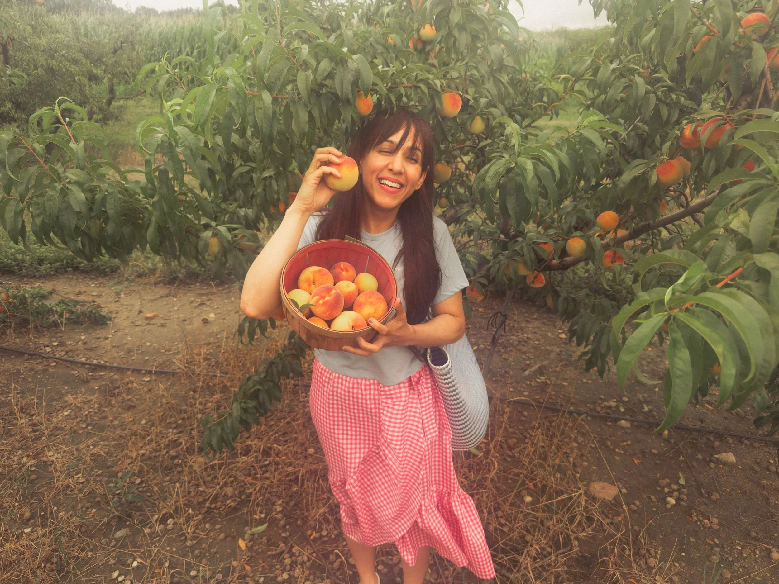 Peachy! 🍑 Michigan Harvest Time