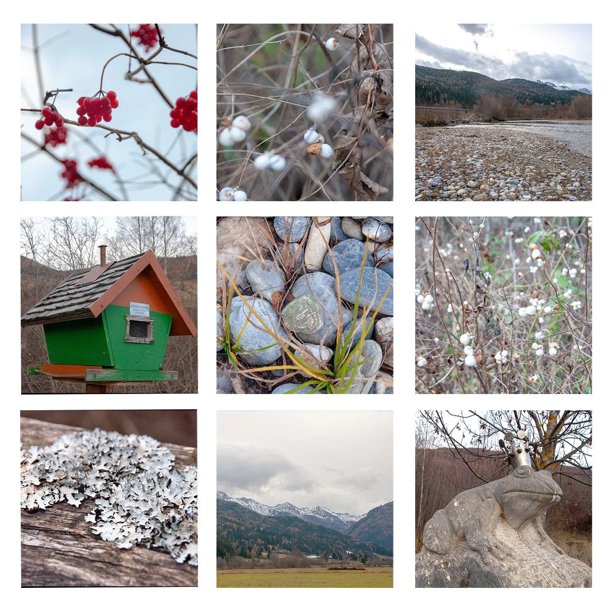 natur_00.jpg