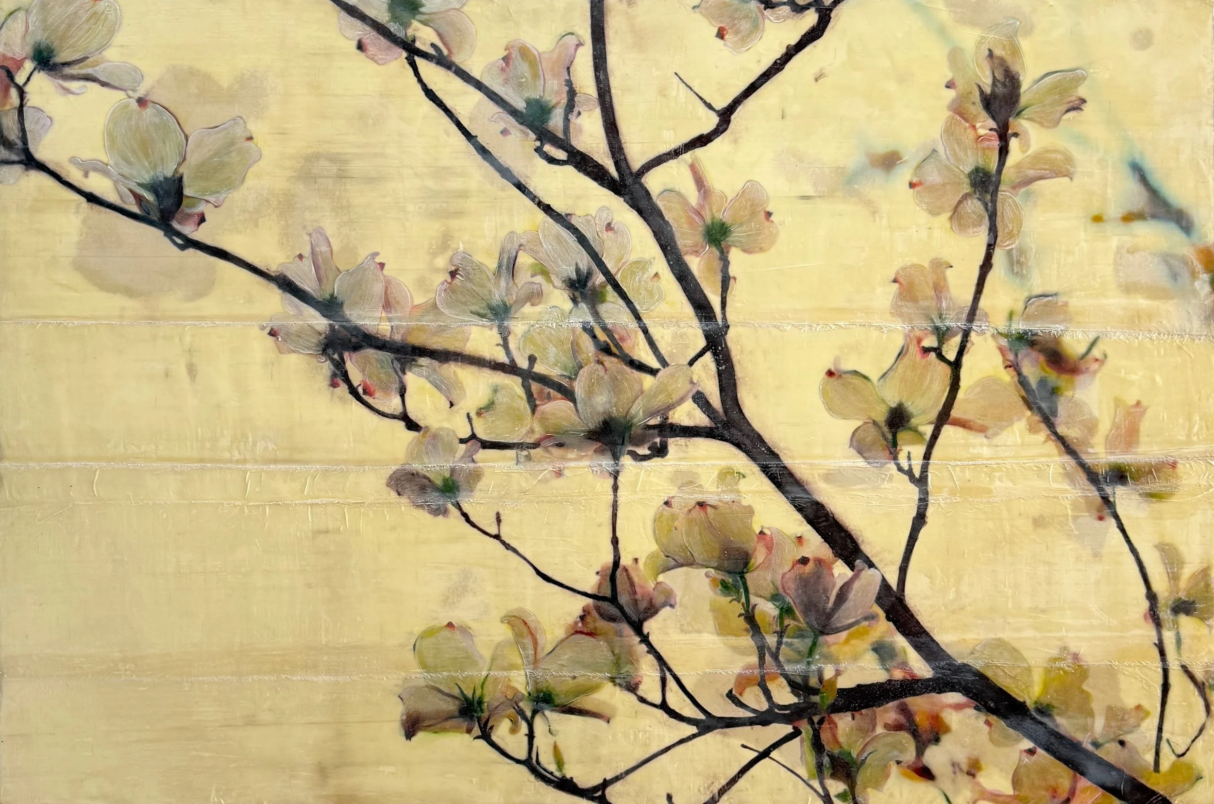 Morning Glow, archival pigment print, beeswax, oil, mica powder, silk on panel, 45 in x 30 in