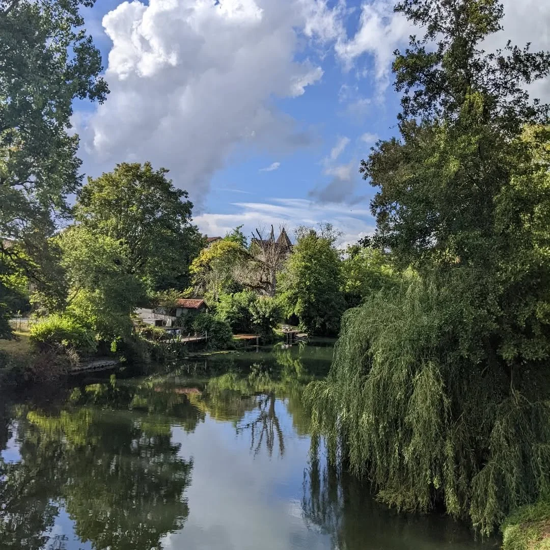 River swims in Charente
#swimwildandfree #swimwildandfreezing
#swim #wildswimming #outdoorswim #outdoorswimmingsociety #outdoorswimming #swim #riverswim #swimming #france #charente #amarnadarlibre #thestoics #sharetheswimlove #outdoorsw