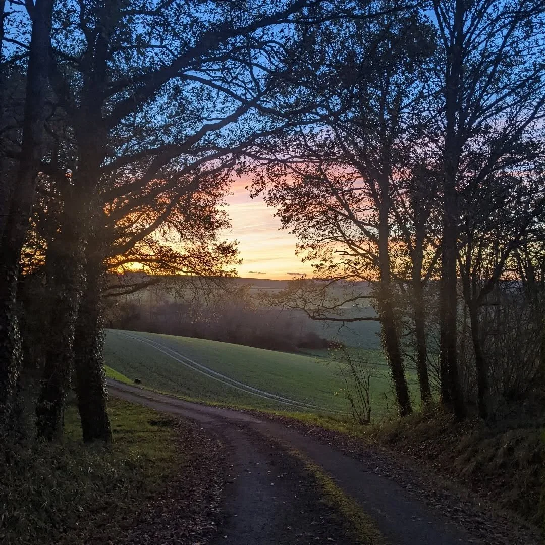 Photo prise en novembre. Rustic Retreat est un court sentier pittoresque menant &agrave; Aubeterre.

An image from November. Rustic Retreat is a short scenic route walk to Aubeterre.