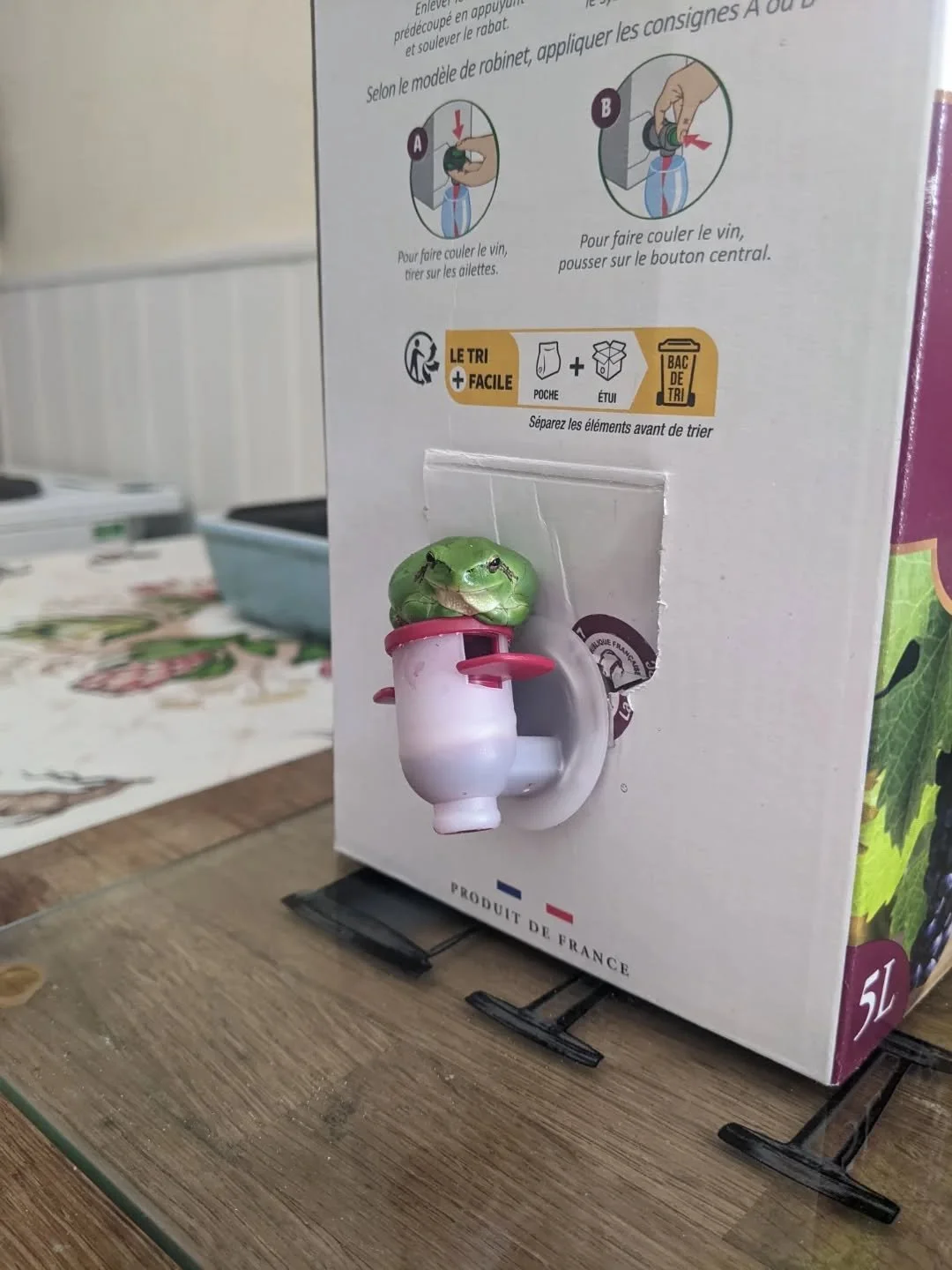A new little friend.