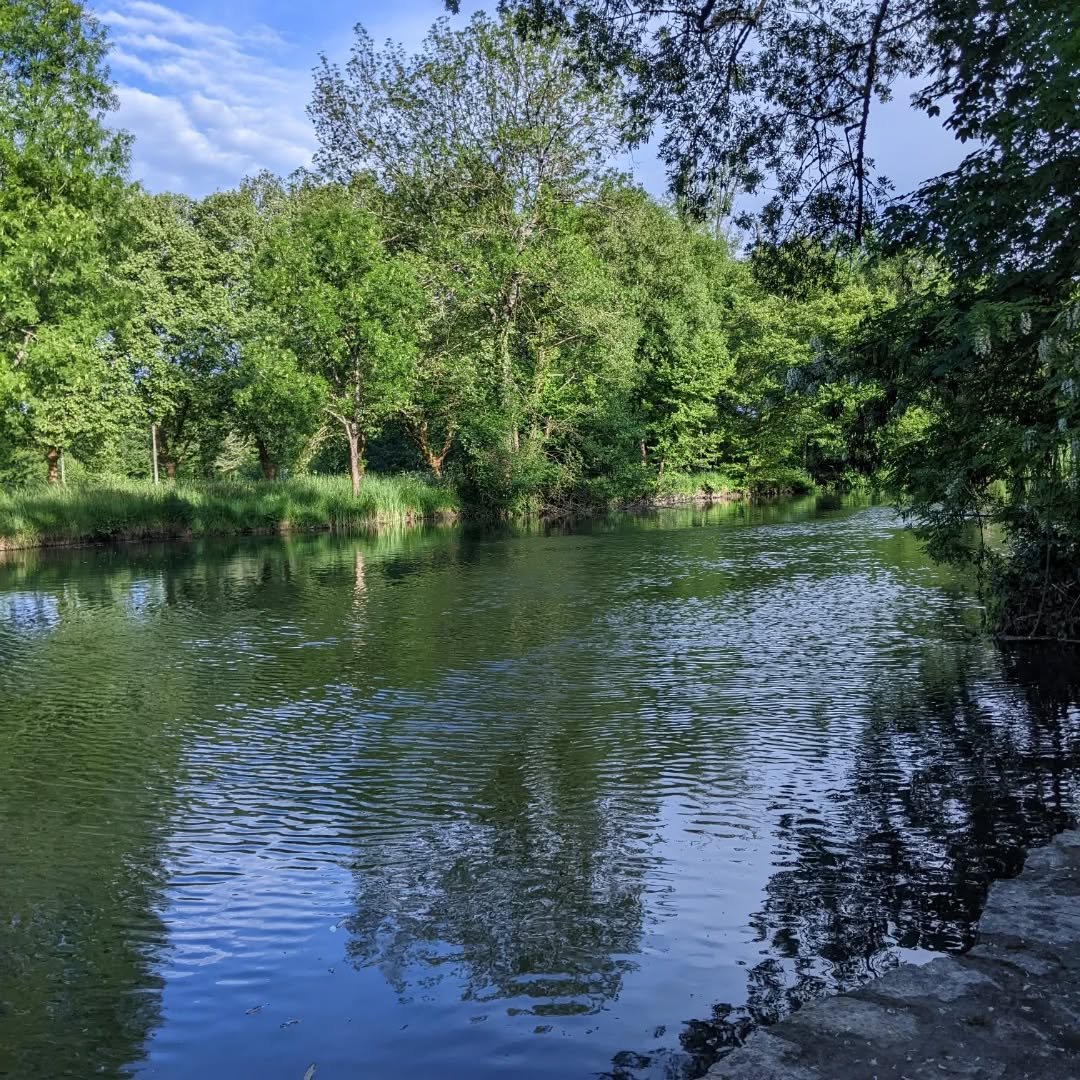 Evening swims in South West France with @tlangham_adventure 

#swimwildandfree&nbsp; #swimwildandfreezing
#swim #wildswimming #outdoorswim