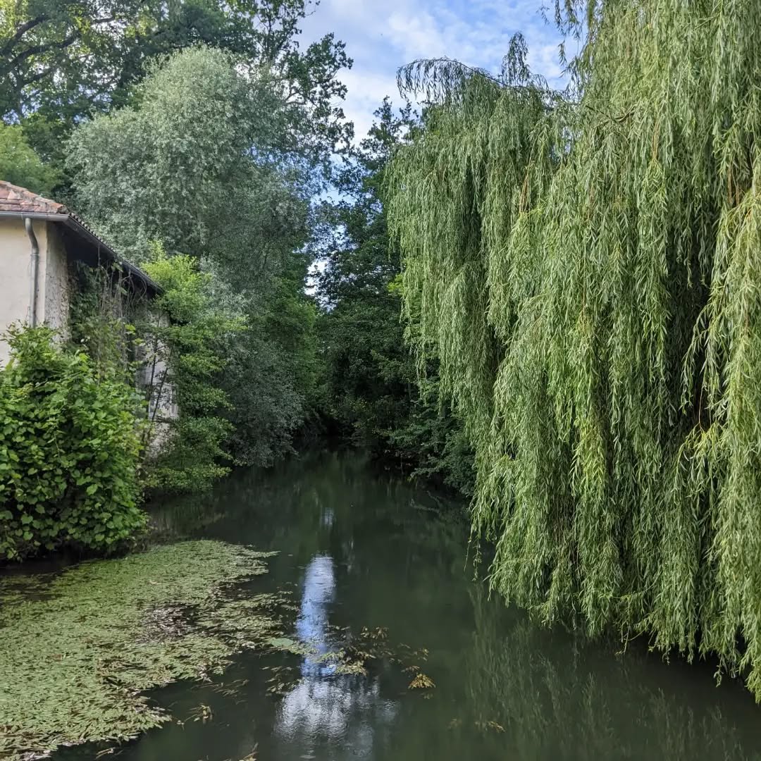 Une charmante soir&eacute;e organis&eacute;e par Sud Charente et Lavette Tude Dronne Tourisme, o&ugrave; j'ai d&eacute;couvert leurs derni&egrave;res initiatives.

J'ai aussi enfin go&ucirc;t&eacute; la limonade de La Nouge, apr&egrave;s avoir longte