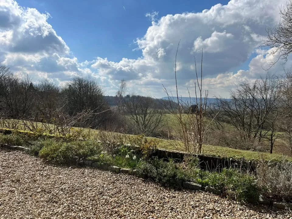 A scenic view of a landscape with a cloudy sky, rolling hills, leafless trees, and a garden area with small plants and gravel in the foreground.
