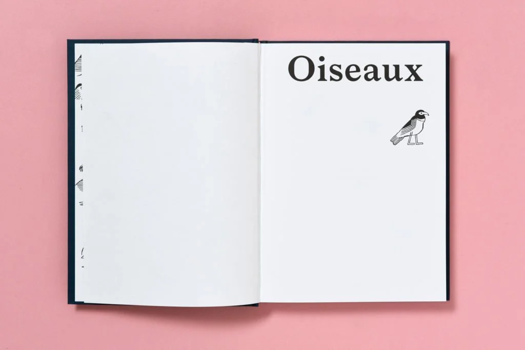 b42-150-oiseaux-4-1024x683.jpeg