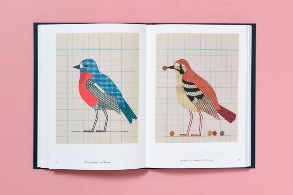 b42-150-oiseaux-9-1024x683.jpeg