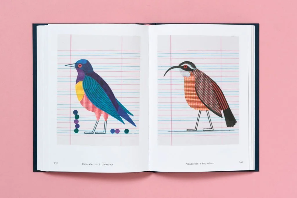 b42-150-oiseaux-10-1024x683.jpeg