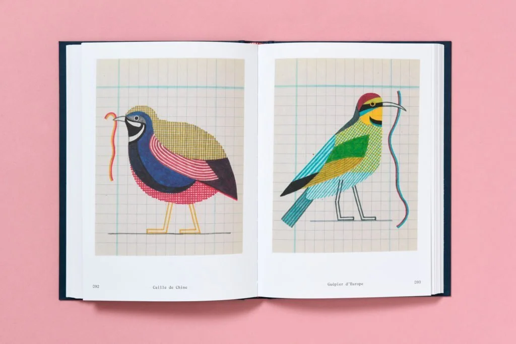 b42-150-oiseaux-8-1024x683.jpeg
