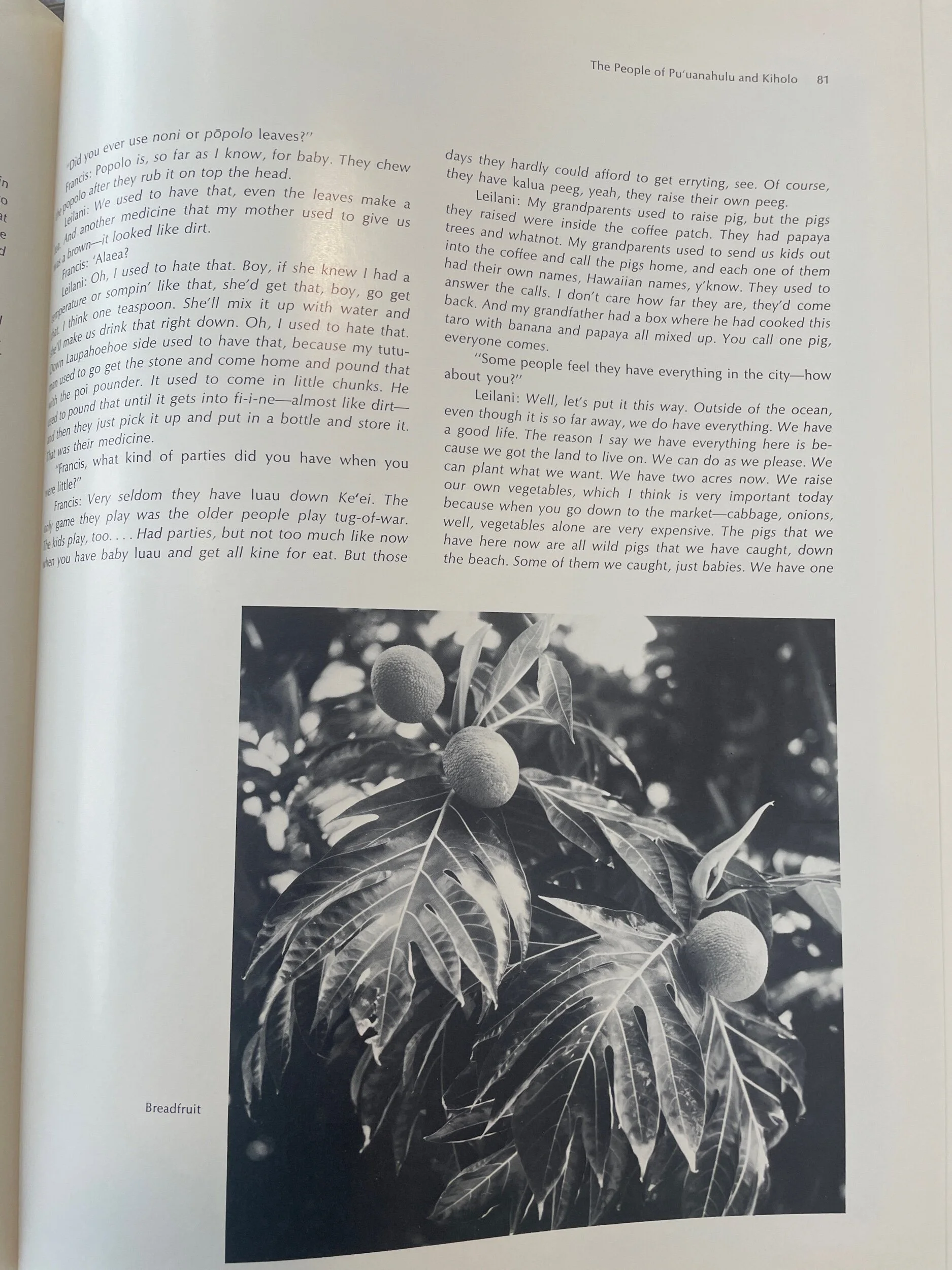 53C332E2-7C05-49DB-B4A8-05A11A043930