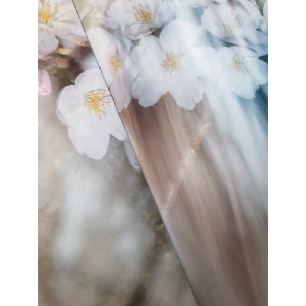sakura%2B2.jpeg