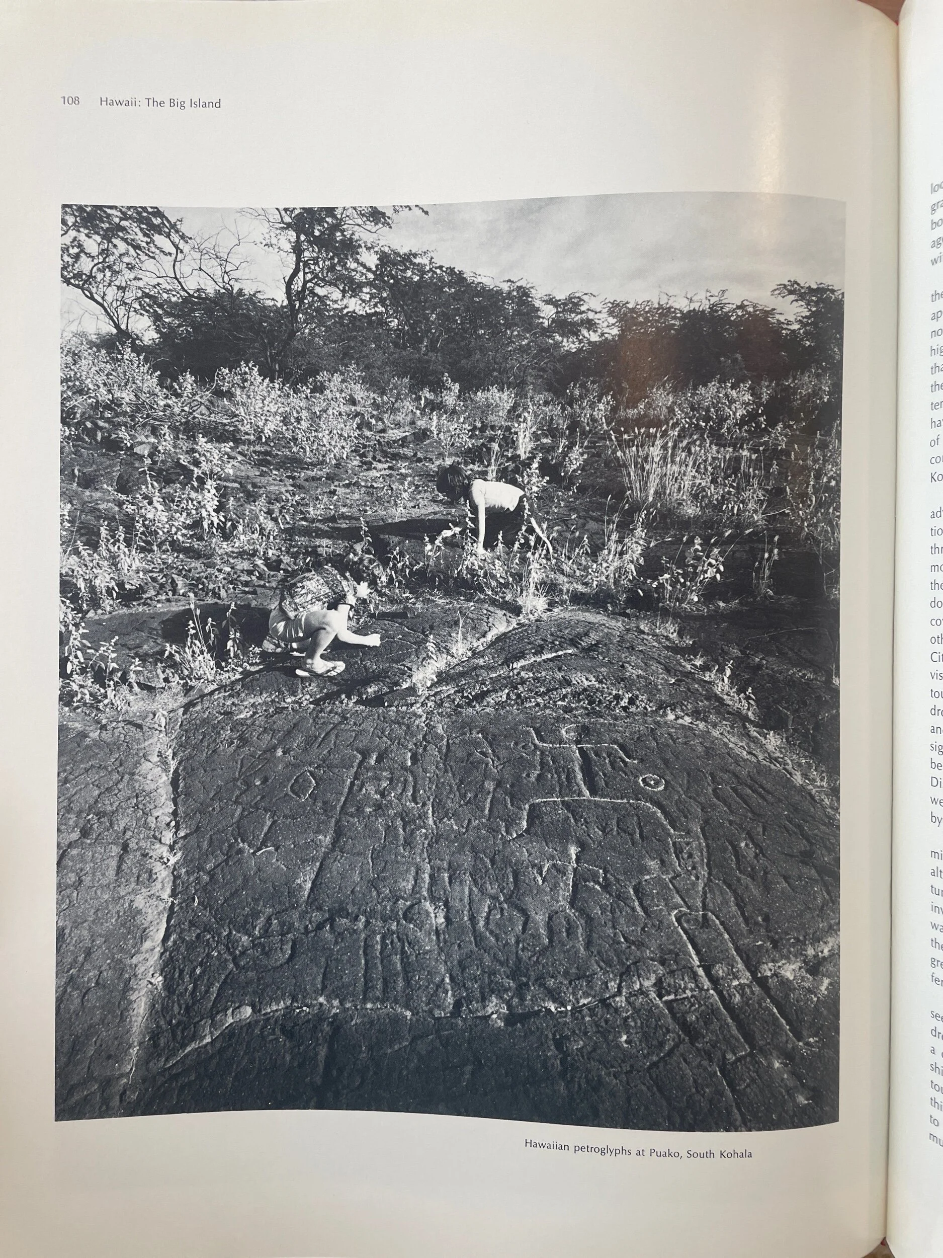 F4B534E9-7A22-40E8-B0E2-95E8A3DC3519