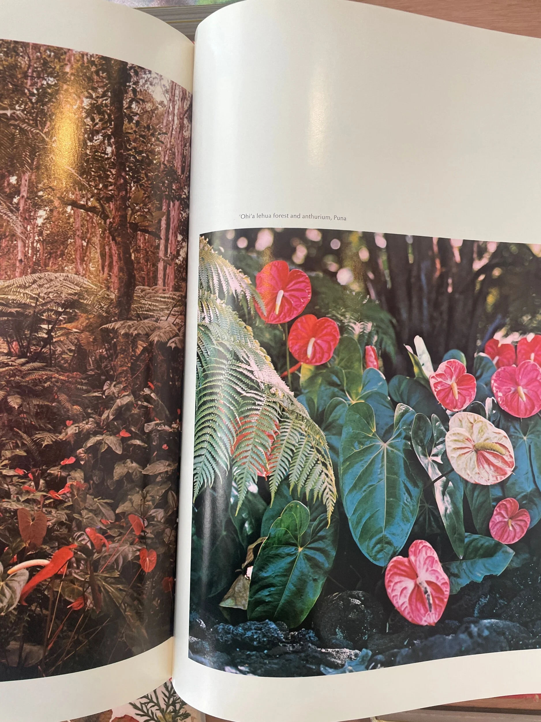 90357A22-8C1A-4903-9D3D-F86BE4C4B18B