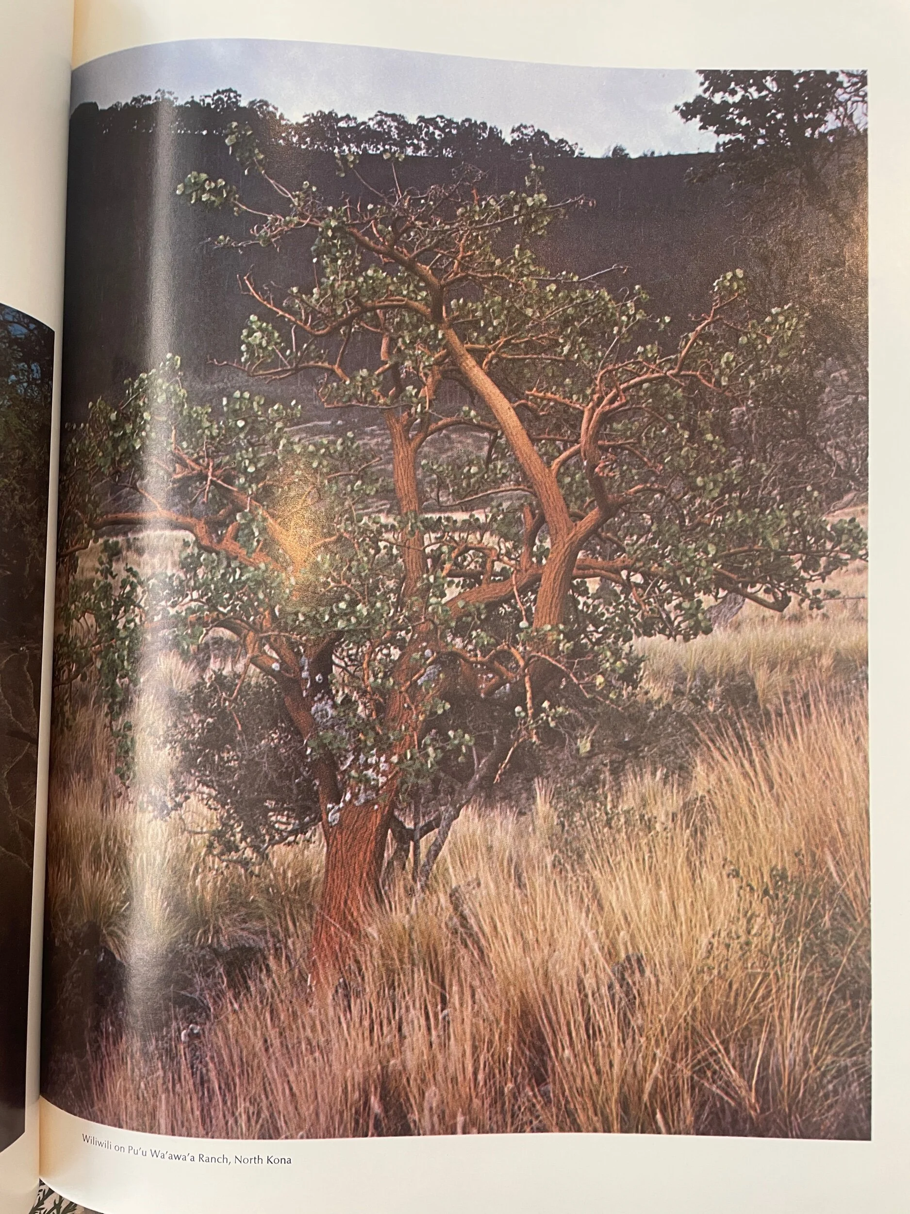 22E42548-08A0-4AFF-BF28-A35DF95F7A9A