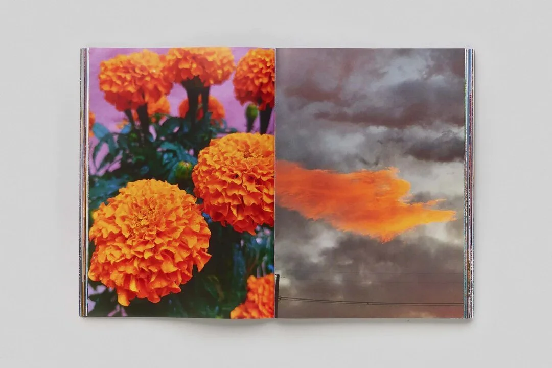 ED3860C5-B1F0-4B7F-9653-7BB4707A2DA7