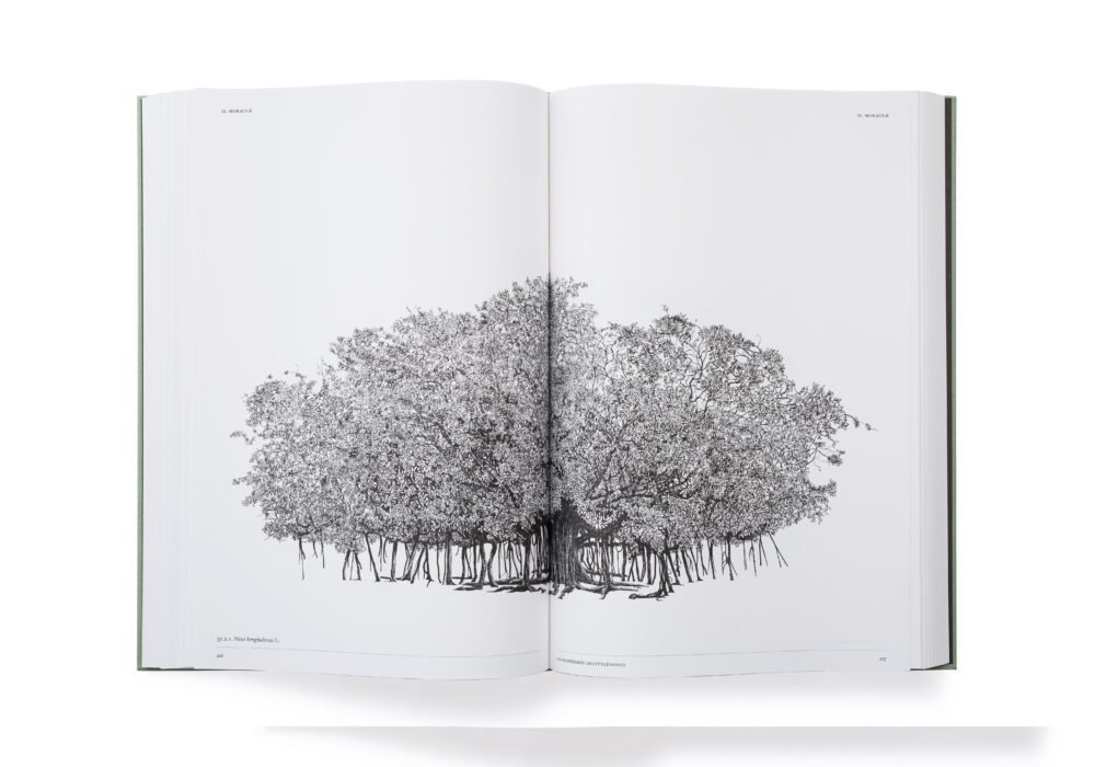 Larchitecture-des-arbres_LeonardiStagi_int5.jpeg
