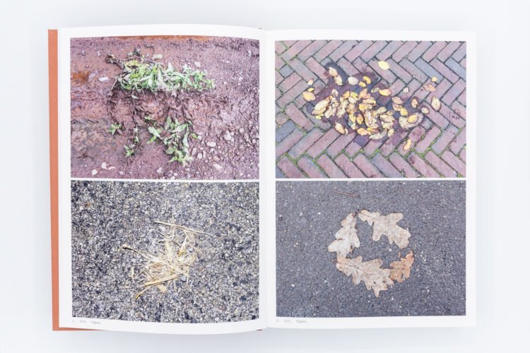 9789069060538_book-of-plants-anne-geene-2-750x500.jpeg