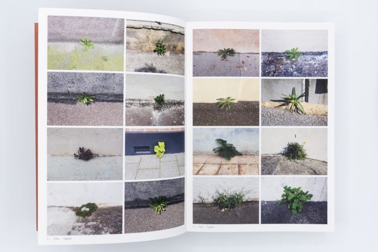 9789069060538_book-of-plants-anne-geene-3-750x500.jpeg