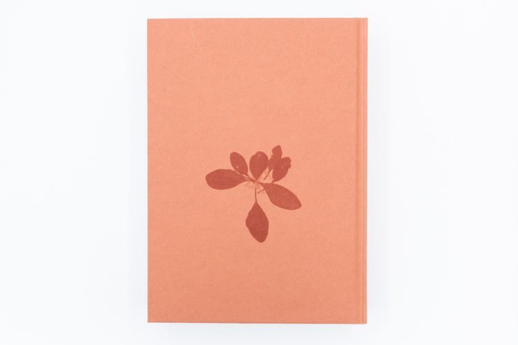 9789069060538_book-of-plants-anne-geene-7-750x500.jpeg