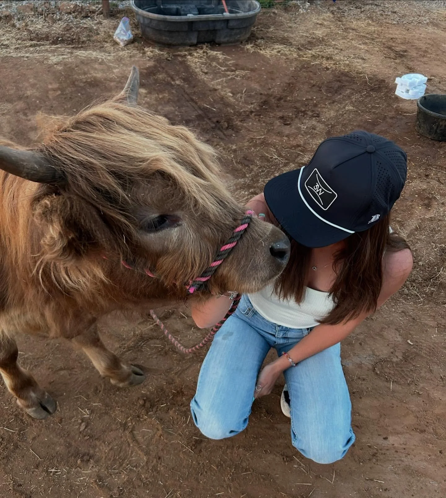 sneak peek of merch coming soon to the website…
hats, tshirts, tanks tops, hooray 🥳🙌🏼
#3wcattlecompany #merchdrop #cows #highlandcattle