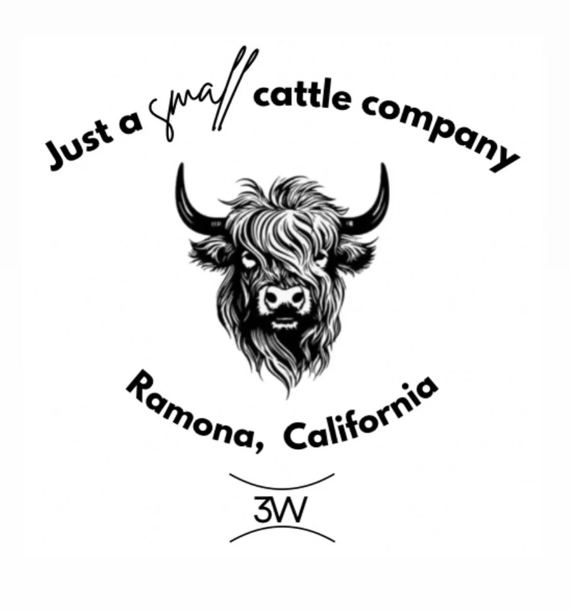 Get ready to fall in love with the fluffiest, most adorable faces you’ve ever seen! We’re 3W Cattle Company, and we’re absolutely thrilled to introduce you to the wonderful world of mini Highland cows. Meet our crew! 🐮🤎