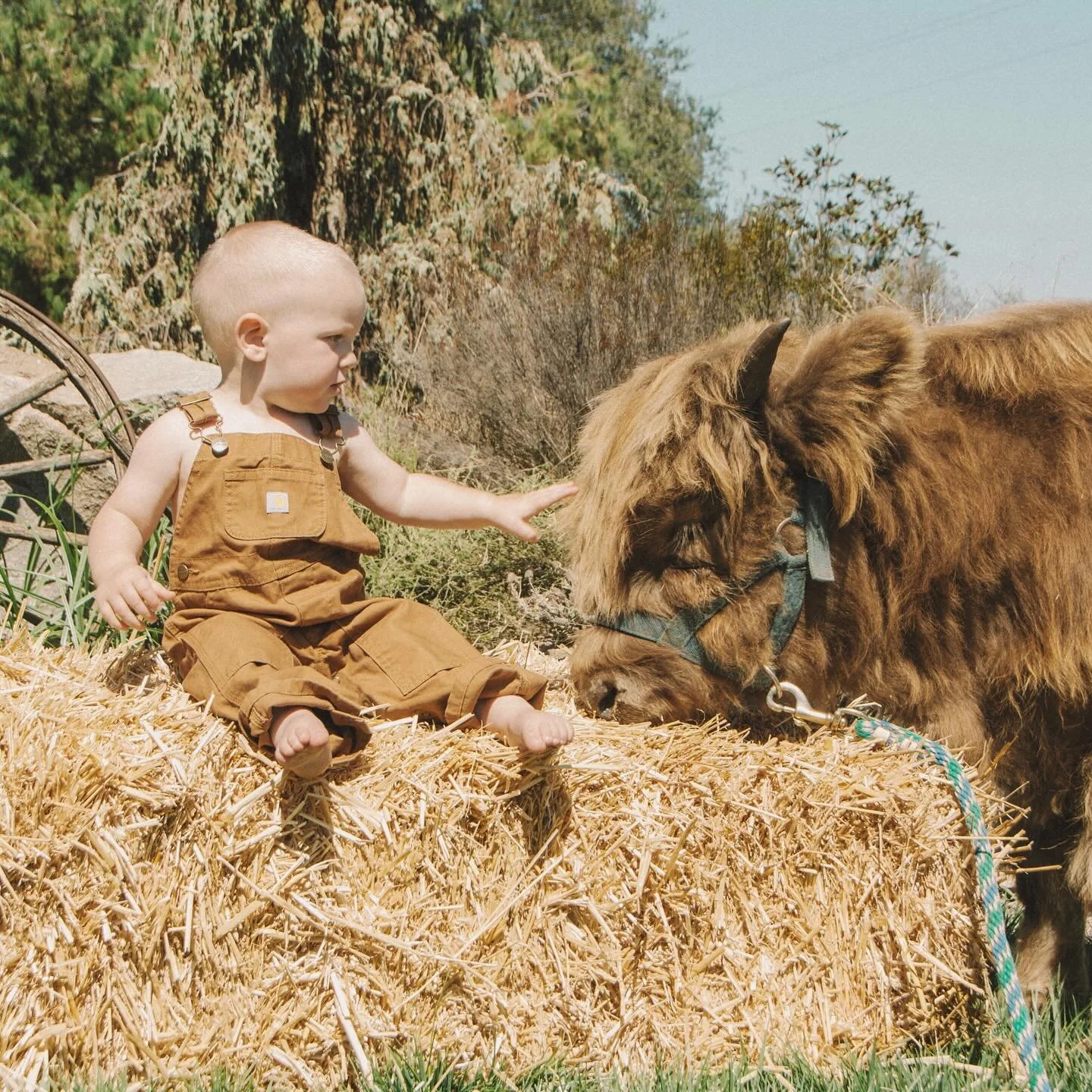 cute nephews 🤝🏼 the herd ❤️❤️