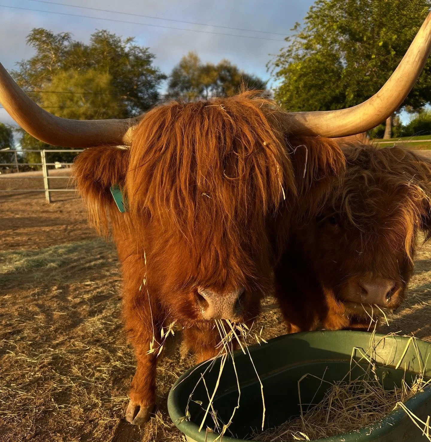 happy friday from 3W!!

merch is still available on our website!! go check it out!!