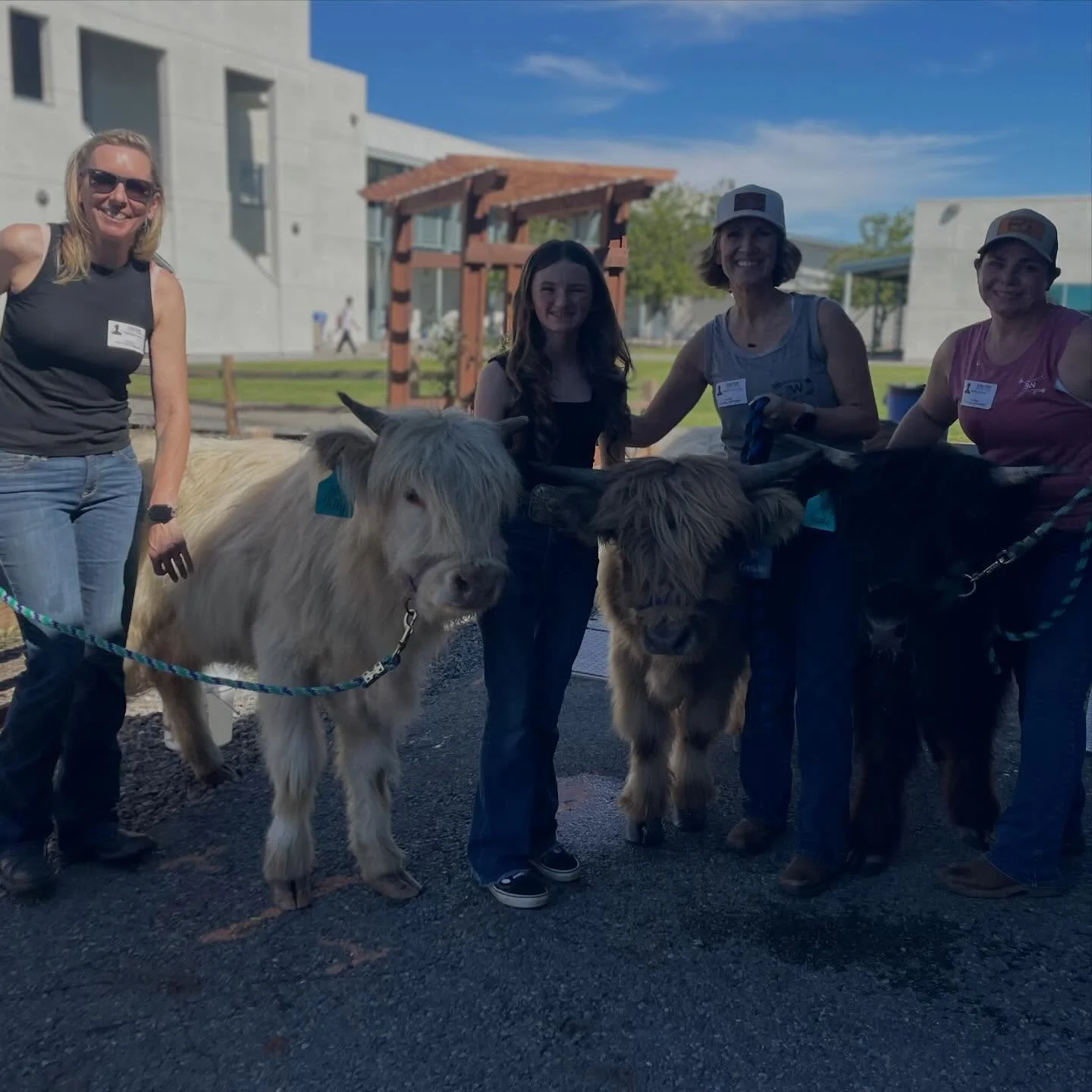 Happy National FFA Week 💙💛
We had a blast participating in Olive Pierce Middle Schools FFA Week petting zoo 🐮