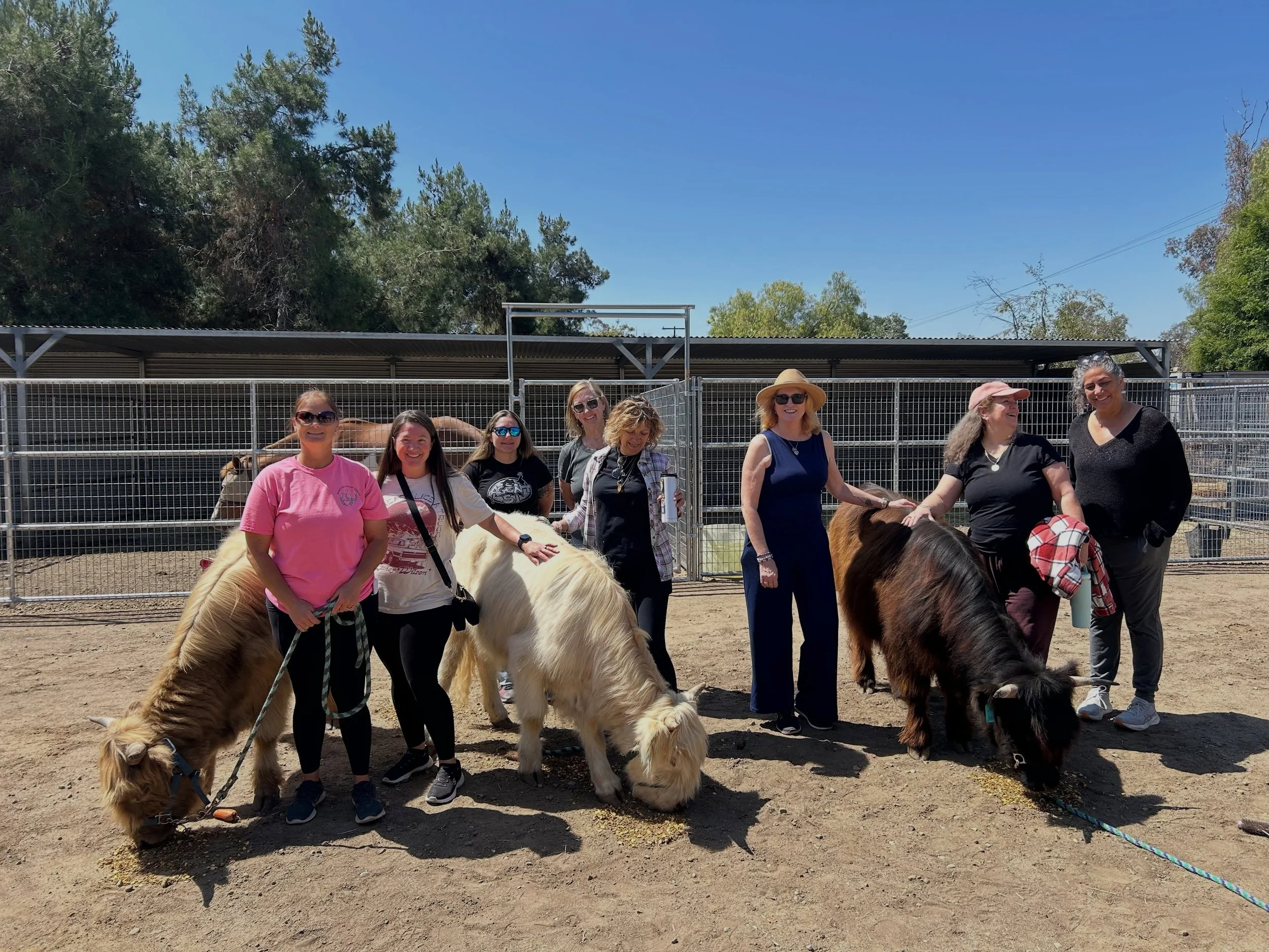 We had so much fun welcoming all the @heartandhoovestherapy guests to their 3 day retreat this weekend!! 🤎🐴
