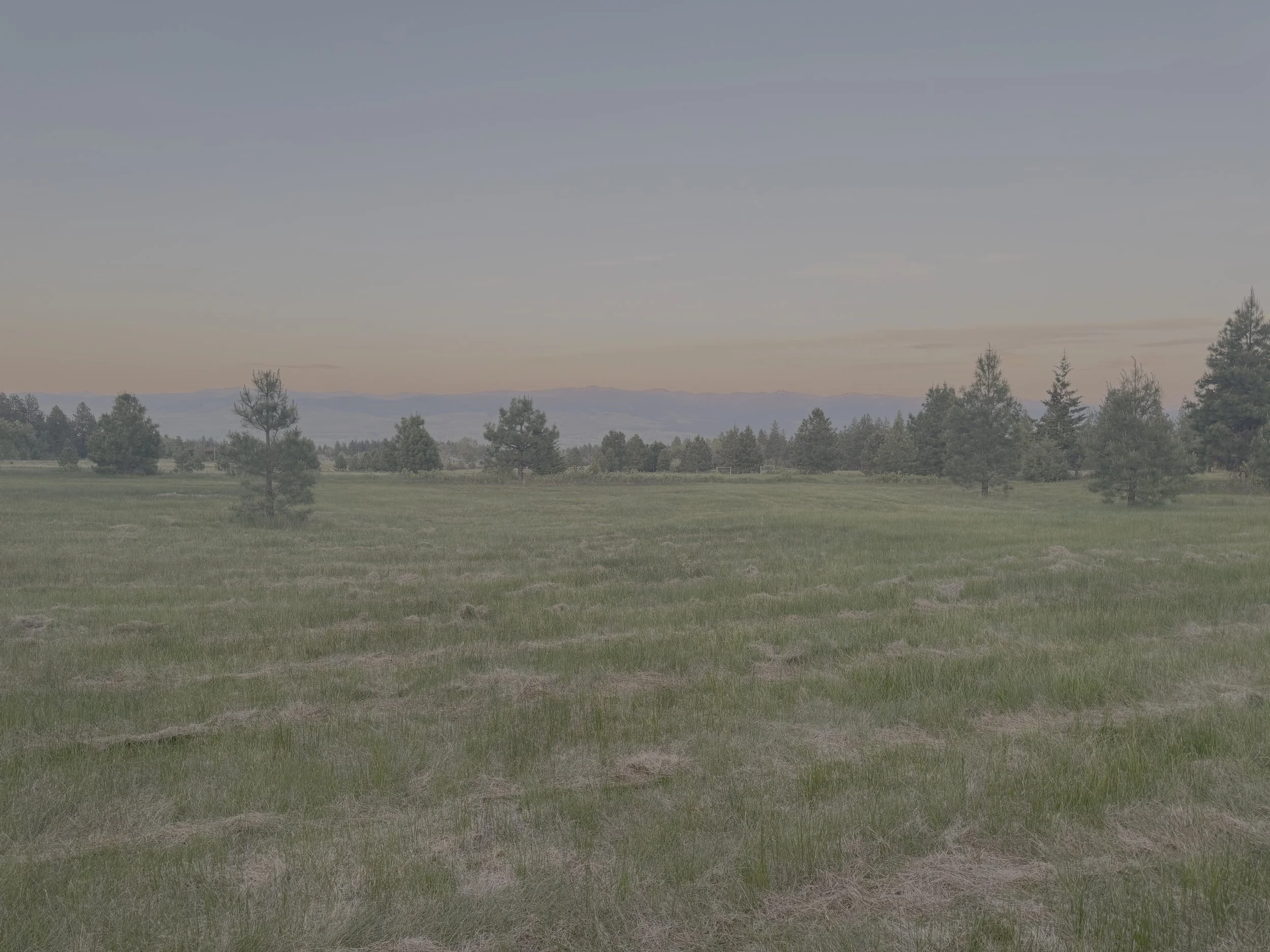 sunset.jpg