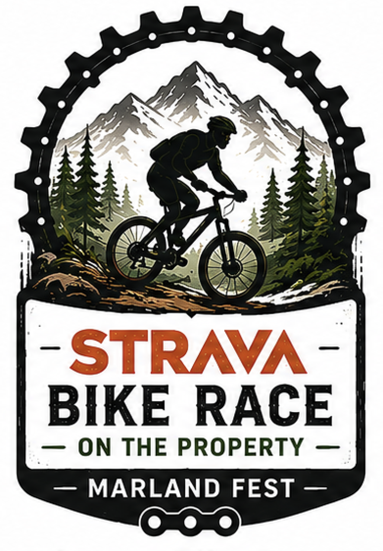 Strava Bike Race