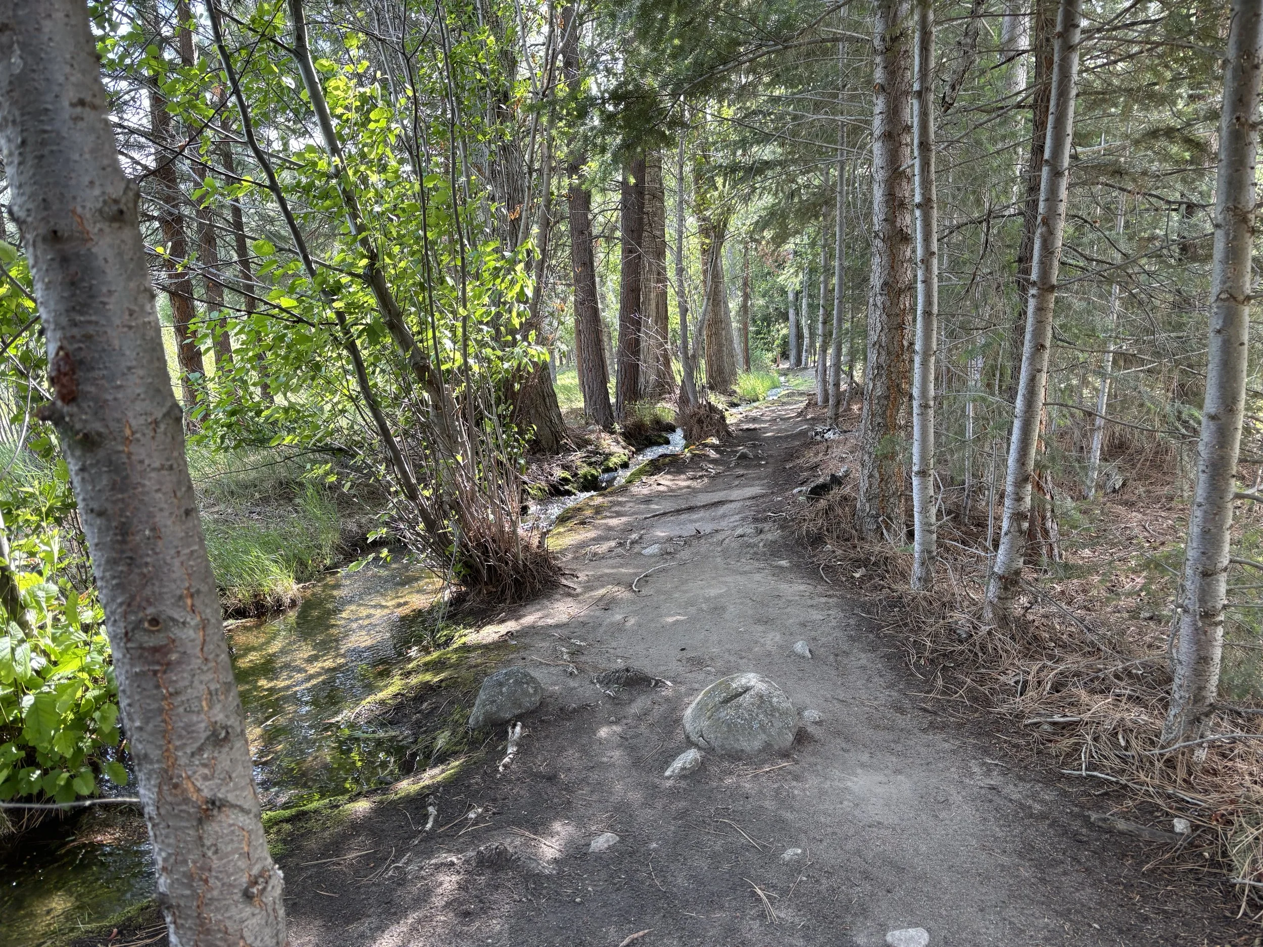 trail with water .jpg