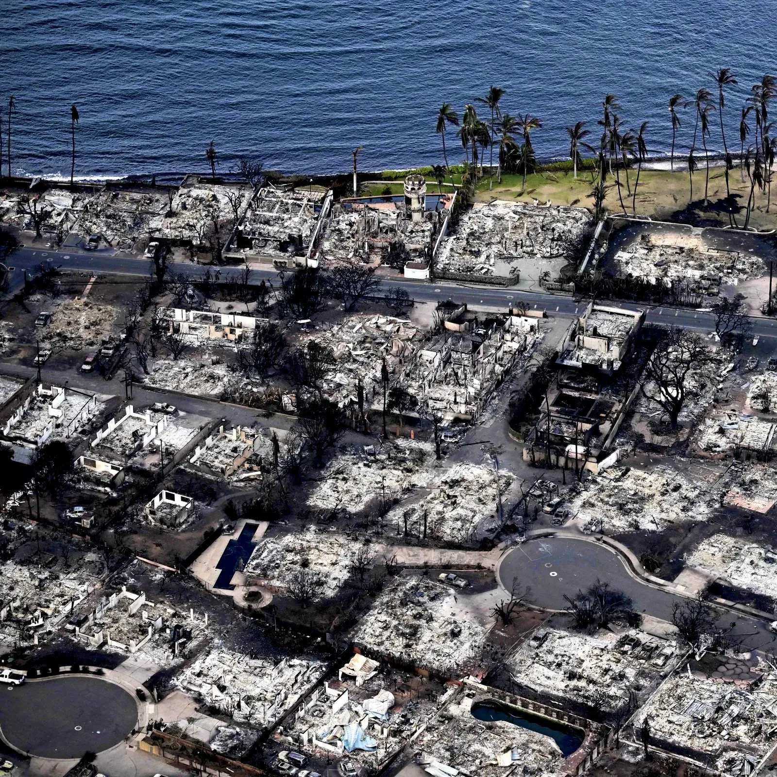 Aerial view of fire-damaged neighborhood by the ocean, with charred building remains and palm trees.