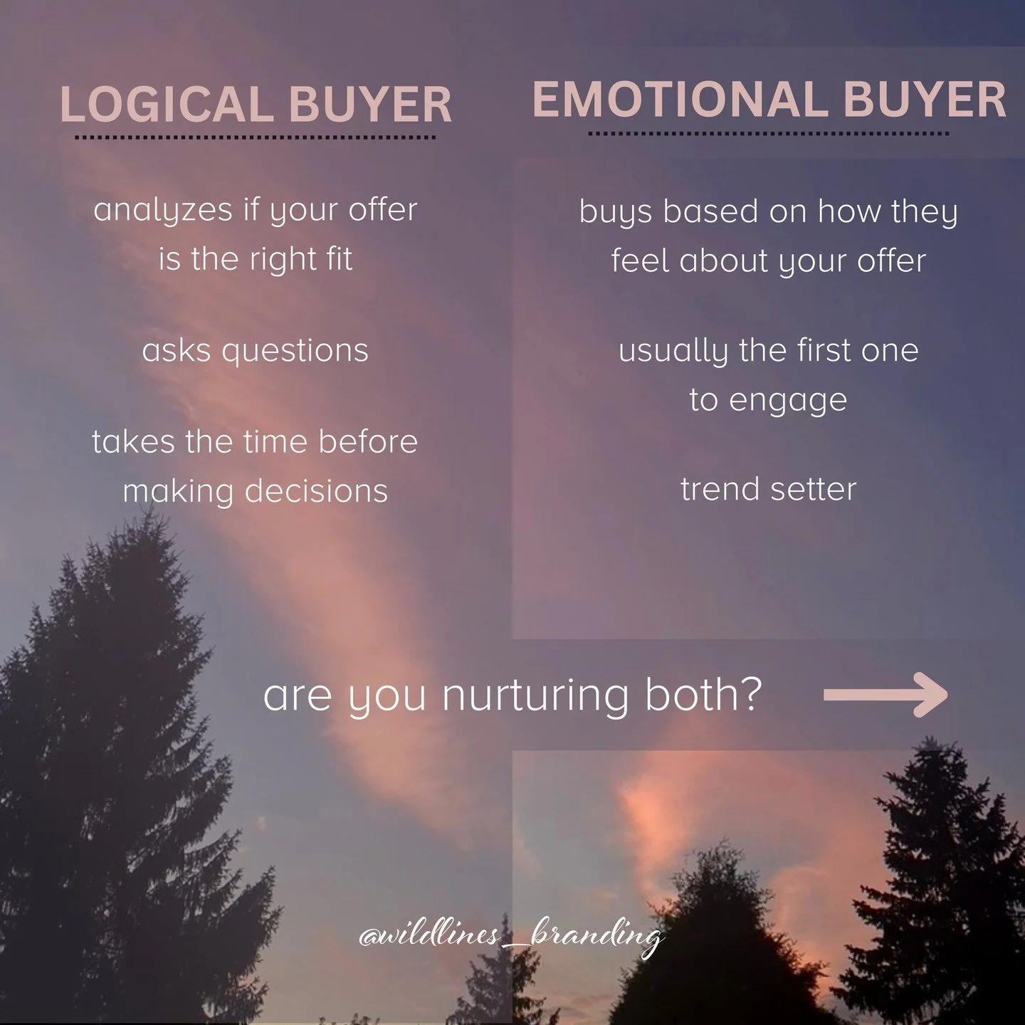 Your energy is 🔥 because you know your offer rocks.⁠
⁠
You speak of the passion behind this. You speak of the dream and the results and how amazing it is... Yet it's not as popular as you thought it would... Why?⁠
⁠
⁠
YOU'RE NOT NURTURING THE LOGICA