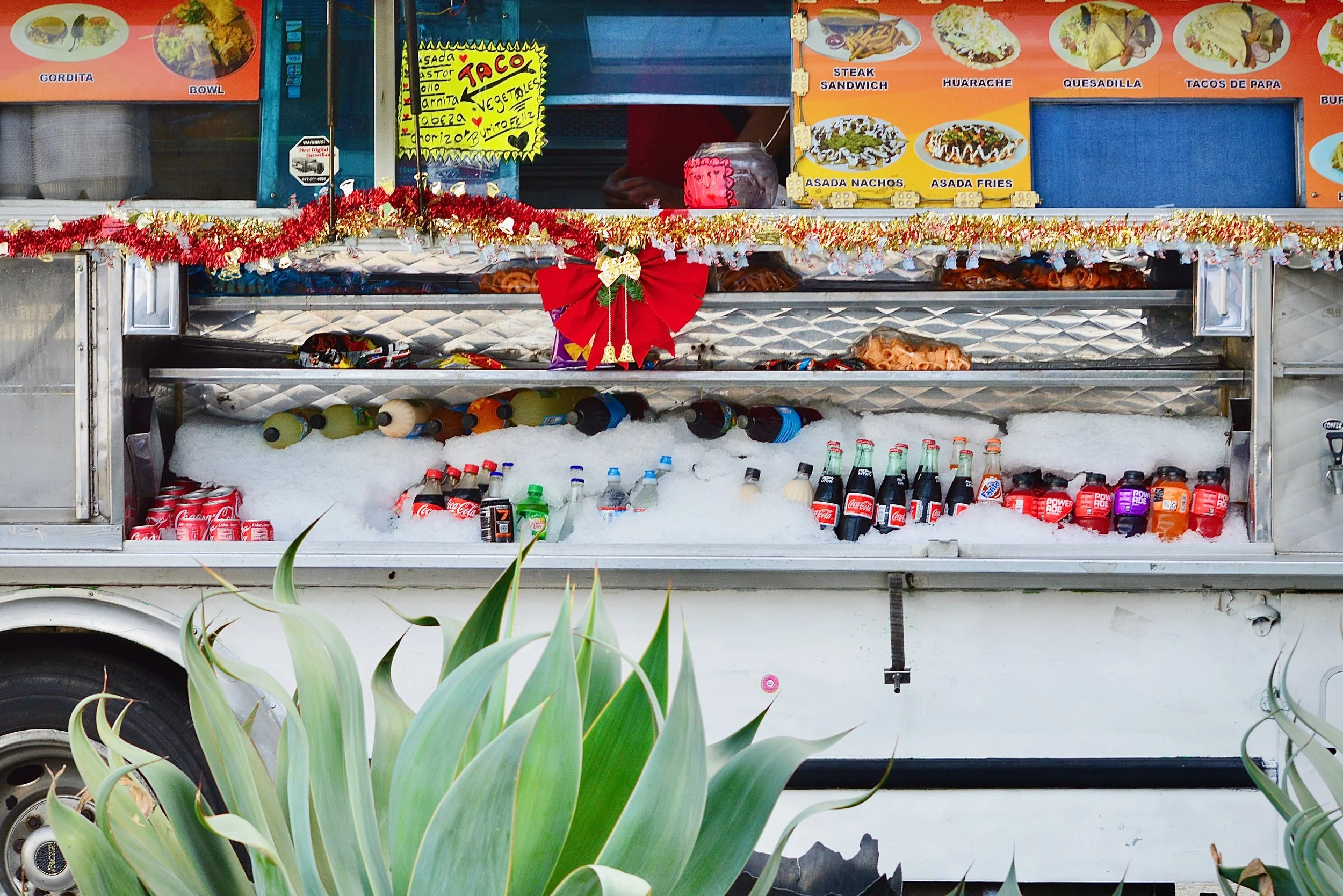 Charlie’s Photography  - 5 of 25.jpeg