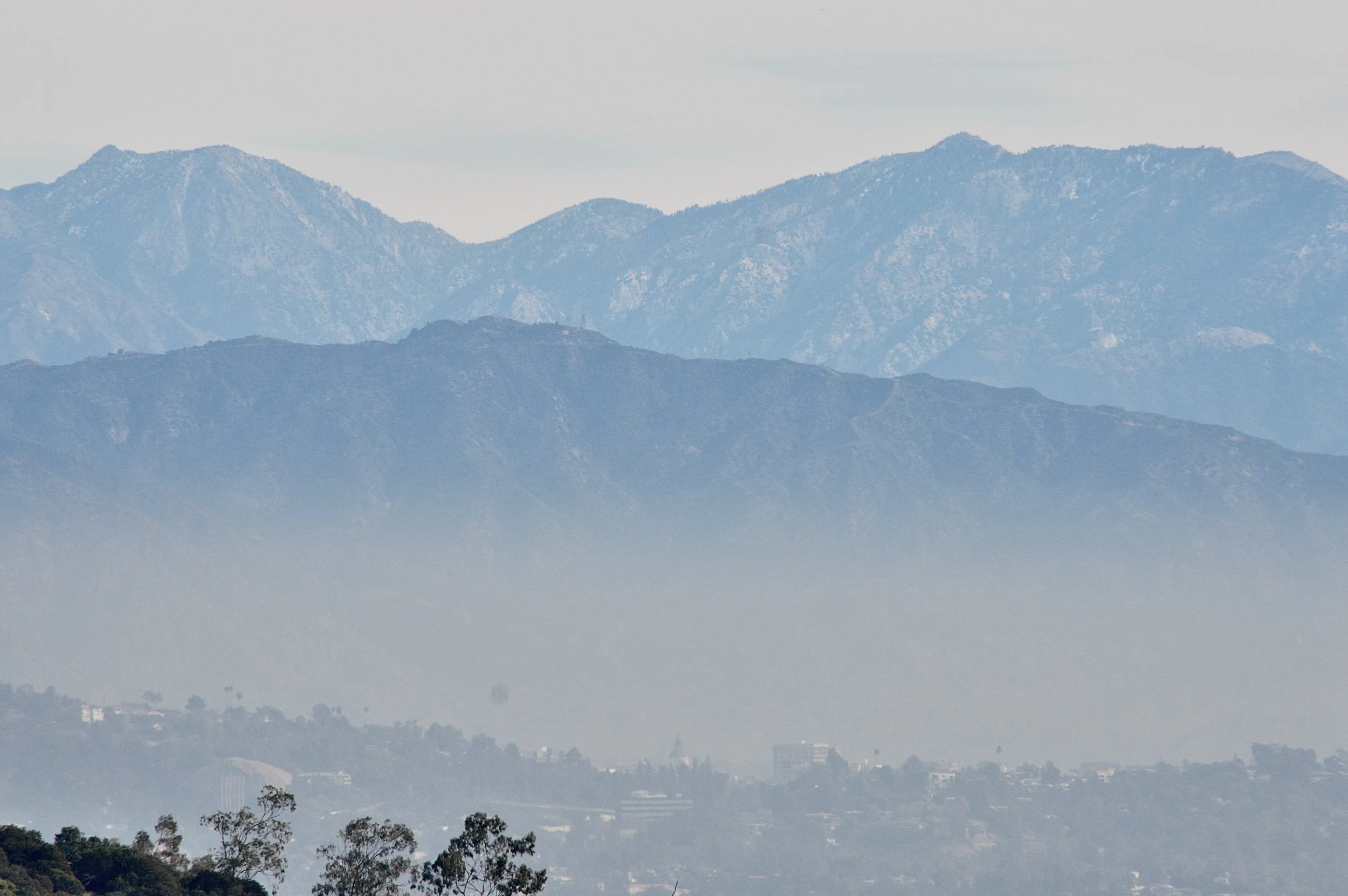 Charlie’s Photography  - 8 of 25.jpeg