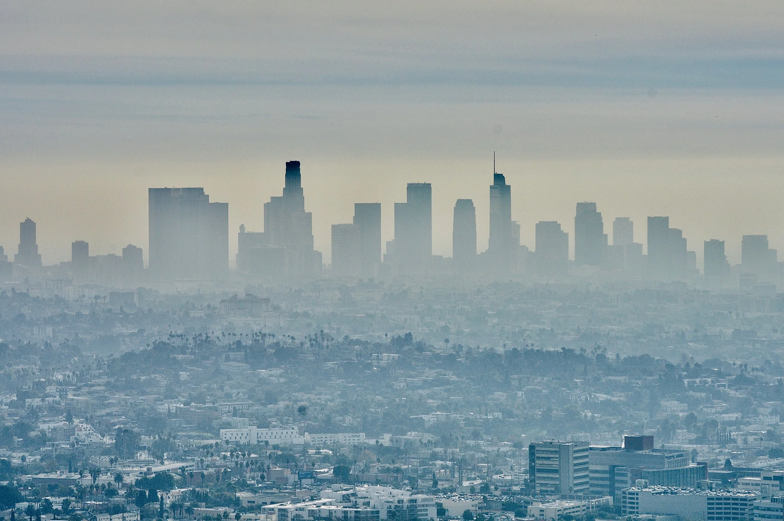 Charlie’s Photography  - 10 of 25.jpeg