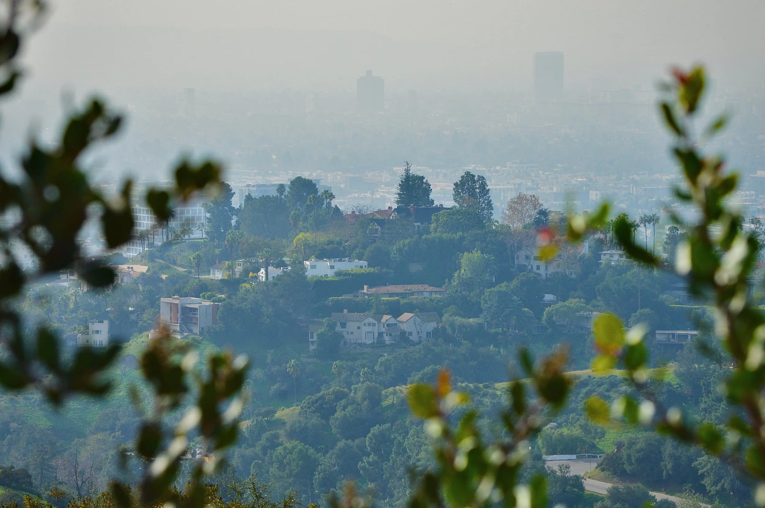 Charlie’s Photography  - 7 of 25.jpeg