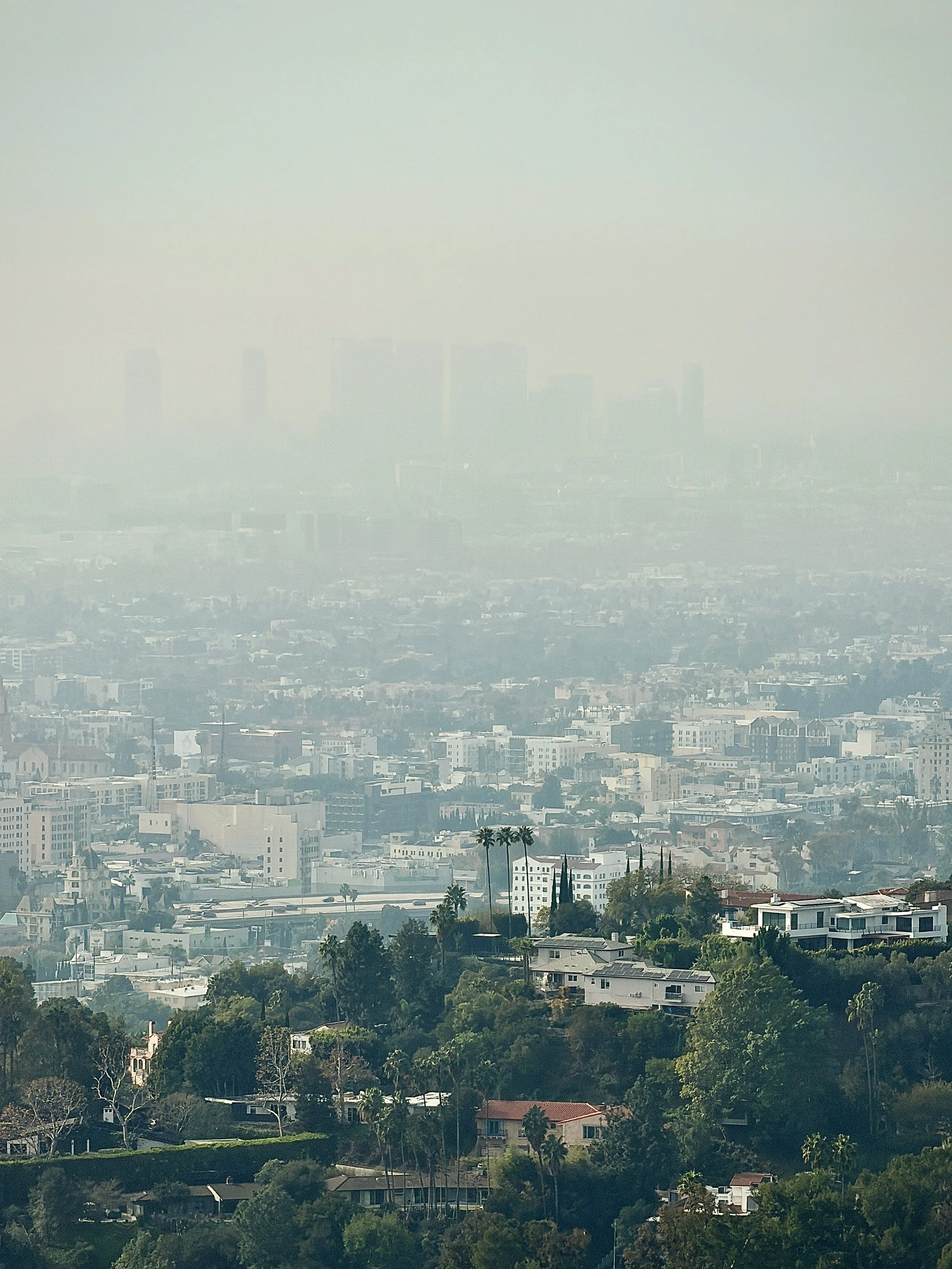 Charlie’s Photography  - 2 of 25.jpeg