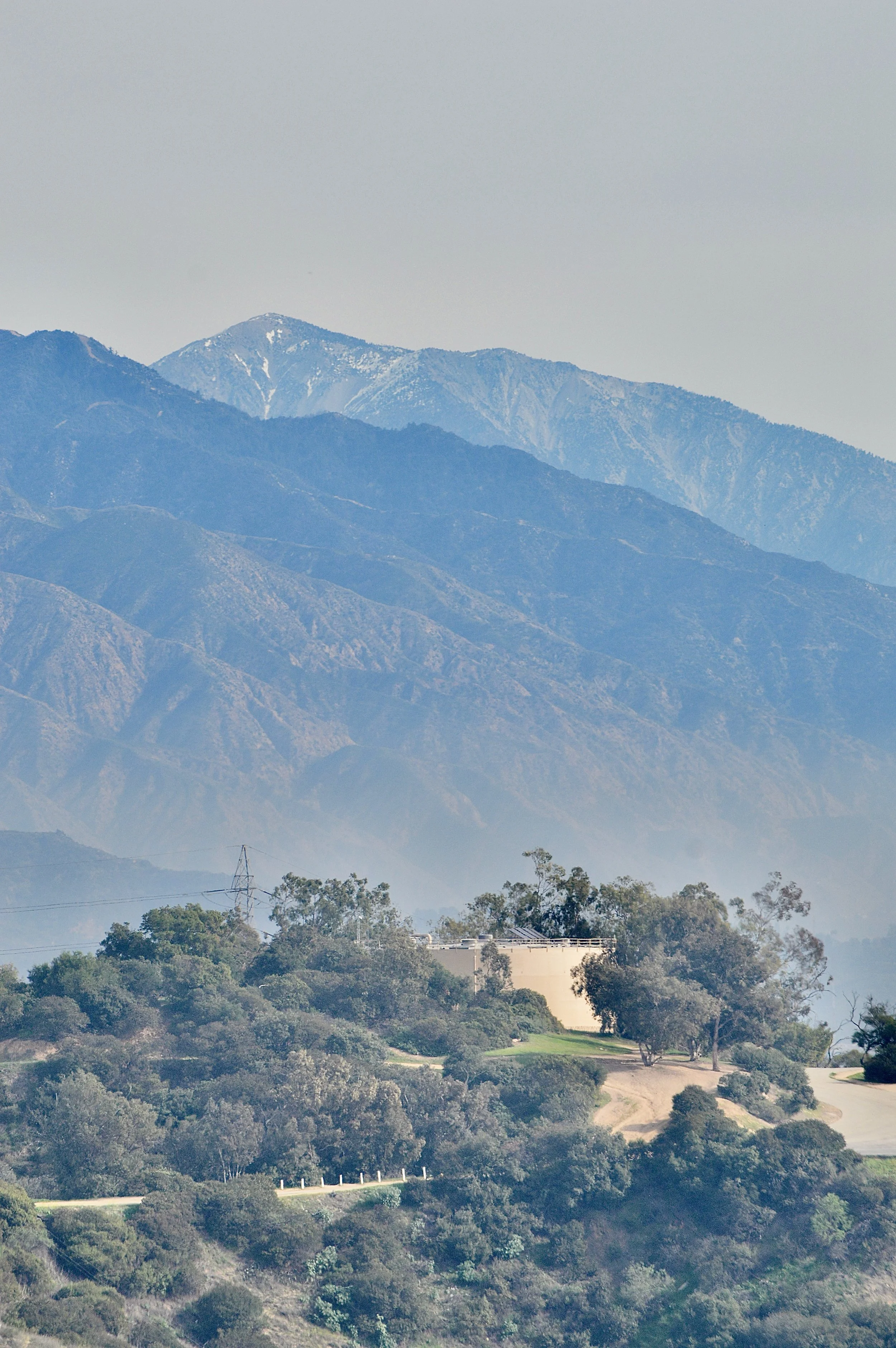 Charlie’s Photography  - 9 of 25.jpeg