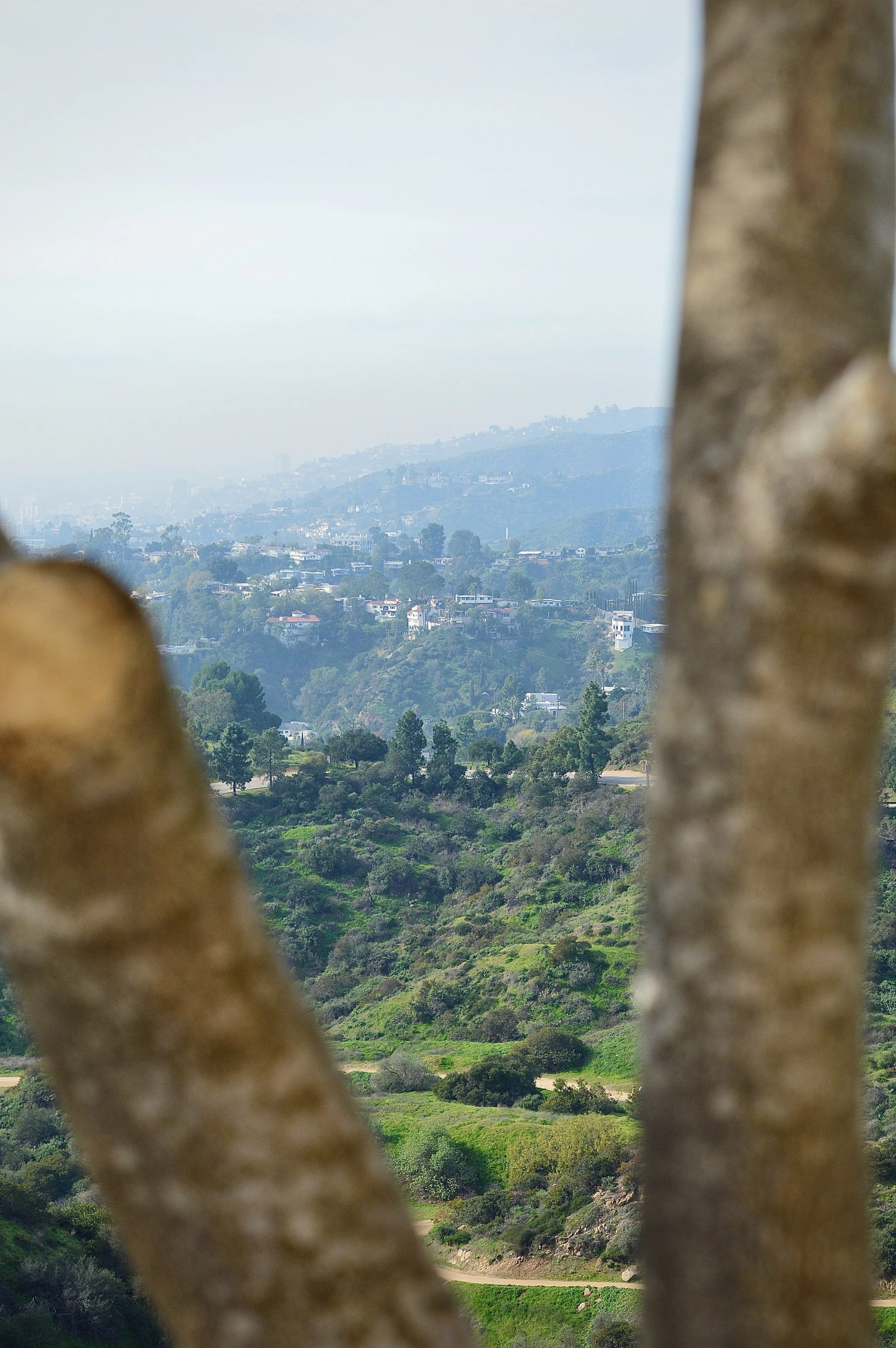 Charlie’s Photography  - 6 of 25.jpeg